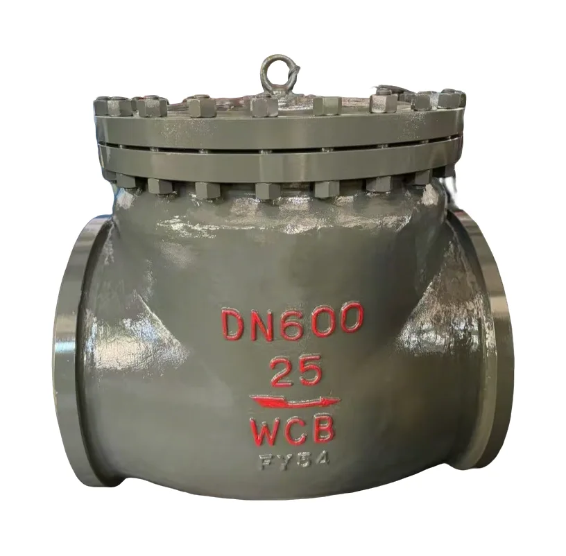 Welding Check Valve
